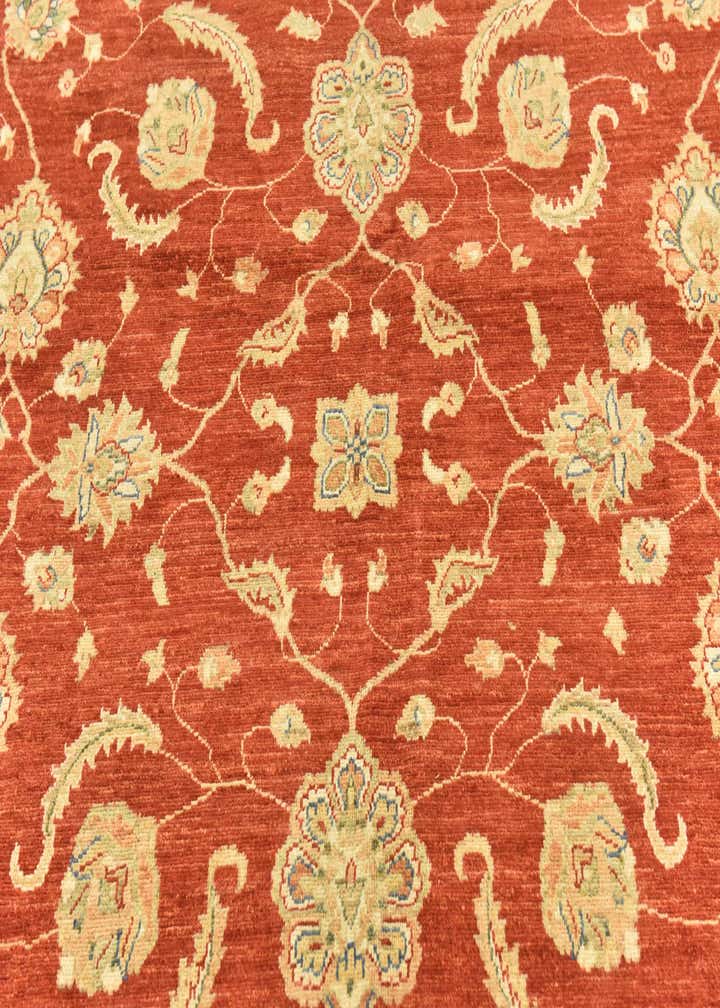 9' 10 x 13' 3 Hand Knotted Peshawar Ziegler Rug