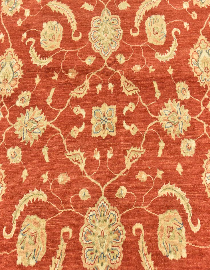 Detail image of 9' 10 x 13' 3 Hand Knotted Peshawar Ziegler Rug