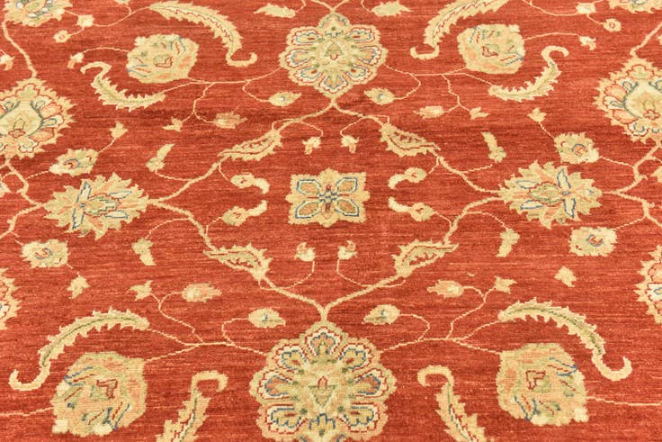 Detail image of 9' 10 x 13' 3 Hand Knotted Peshawar Ziegler Rug