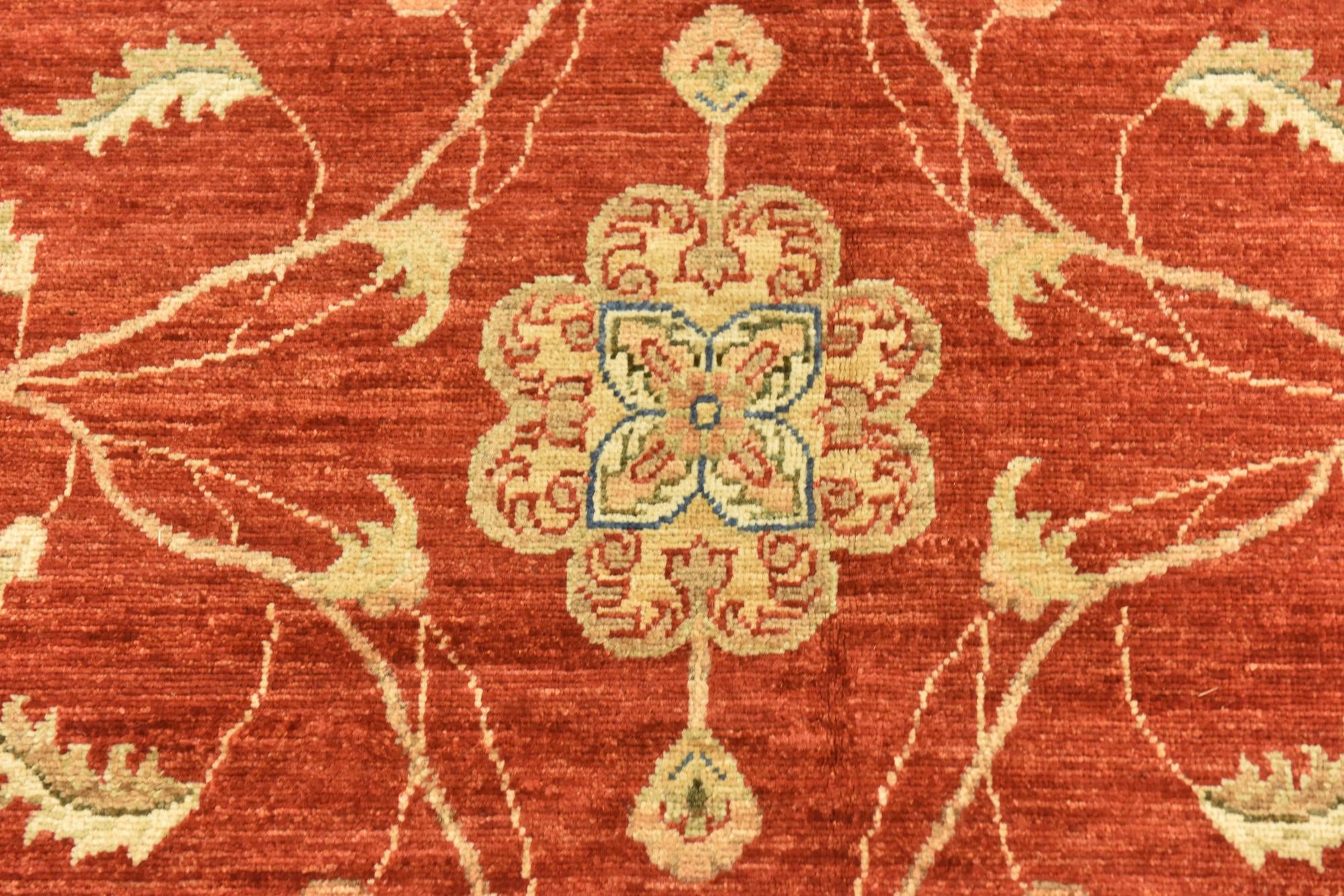 9' 10 x 13' 3 Hand Knotted Peshawar Ziegler Rug