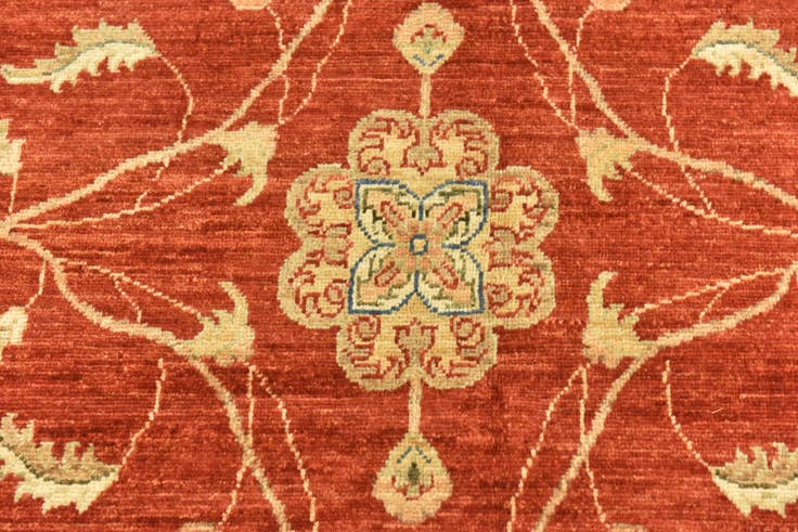 Detail image of 9' 10 x 13' 3 Hand Knotted Peshawar Ziegler Rug