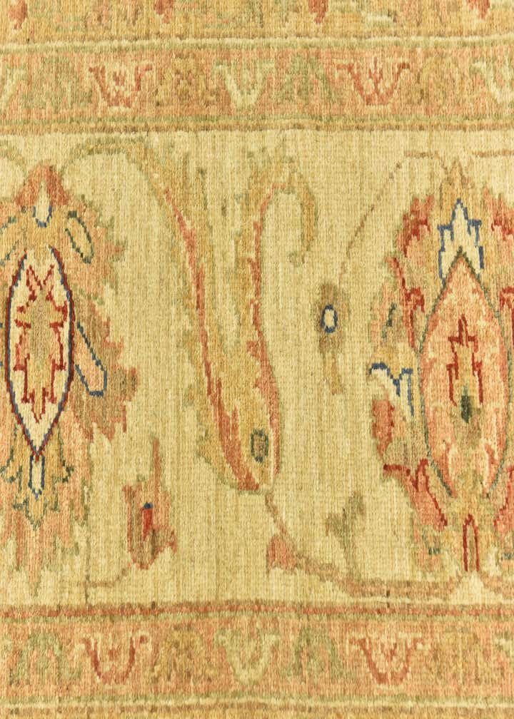 9' 10 x 13' 3 Hand Knotted Peshawar Ziegler Rug