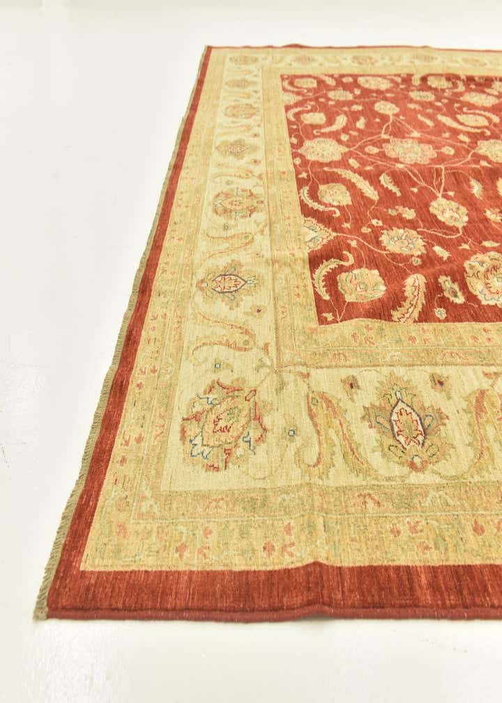 9' 10 x 13' 3 Hand Knotted Peshawar Ziegler Rug