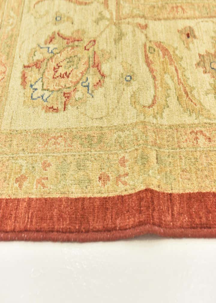9' 10 x 13' 3 Hand Knotted Peshawar Ziegler Rug