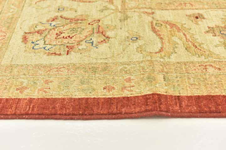 9' 10 x 13' 3 Hand Knotted Peshawar Ziegler Rug