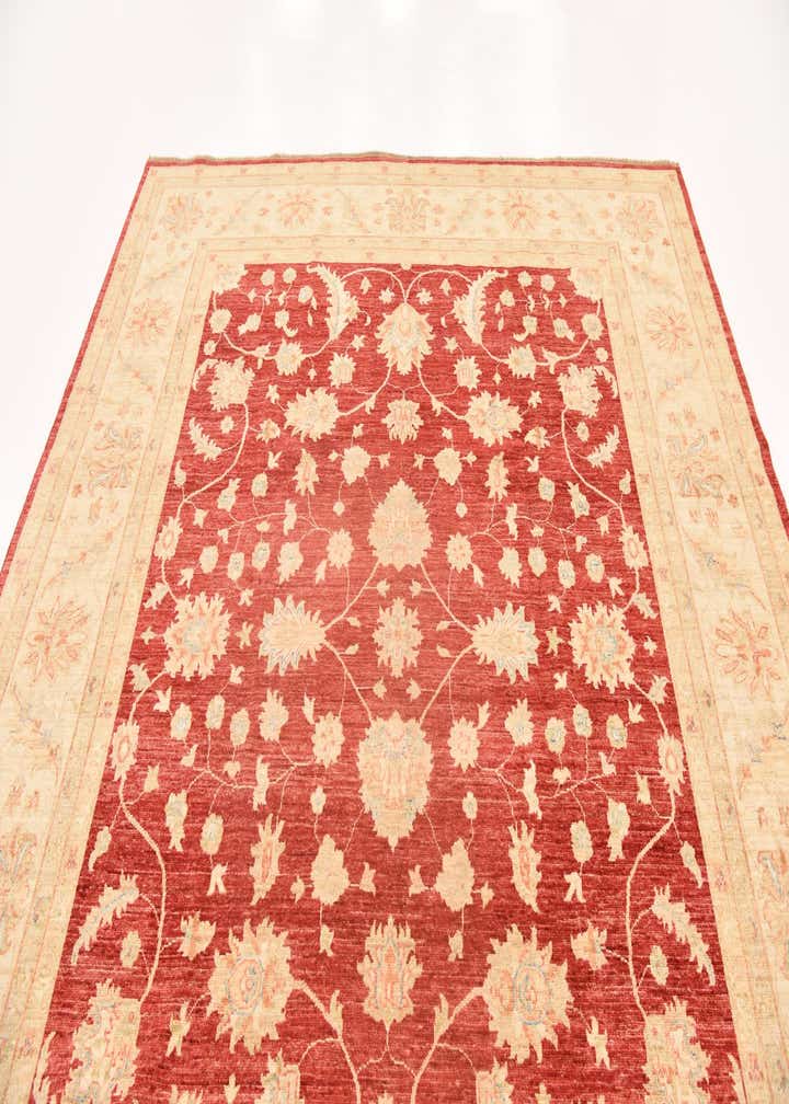 8' 3 x 9' 9 Hand Knotted Peshawar Ziegler Rug