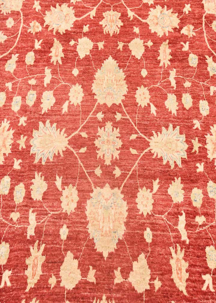 8' 3 x 9' 9 Hand Knotted Peshawar Ziegler Rug