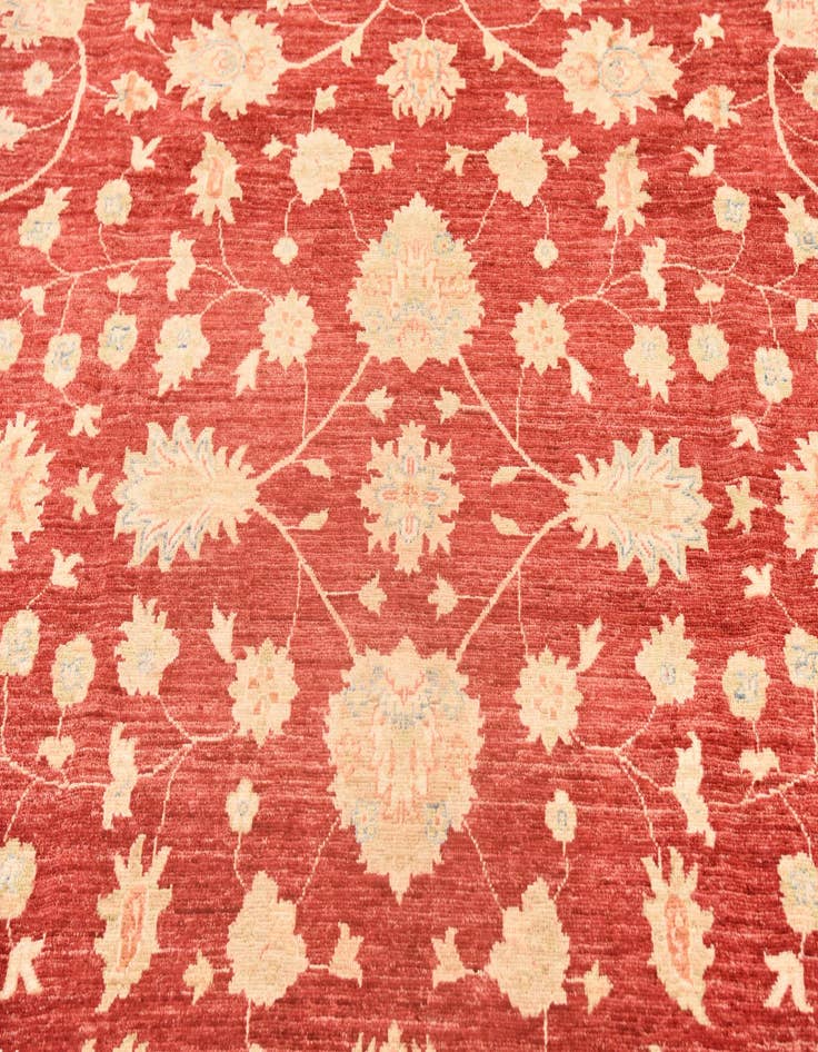 Detail image of 8' 3 x 9' 9 Hand Knotted Peshawar Ziegler Rug