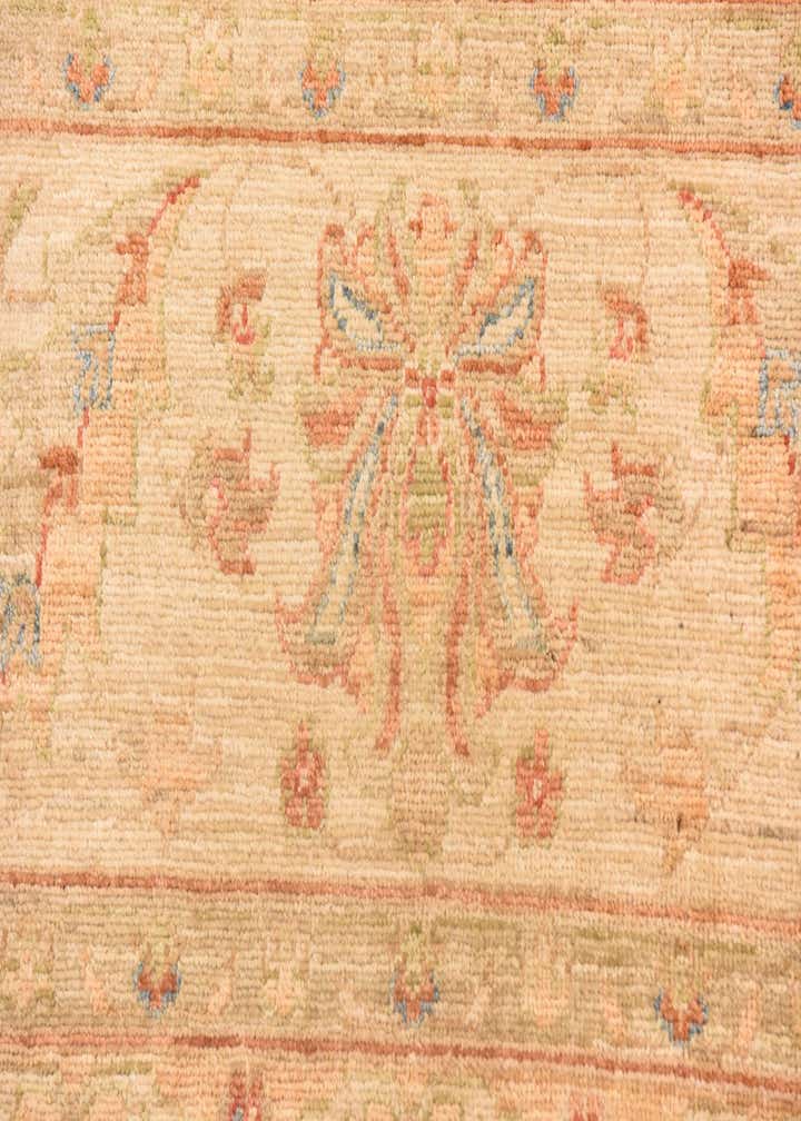 8' 3 x 9' 9 Hand Knotted Peshawar Ziegler Rug