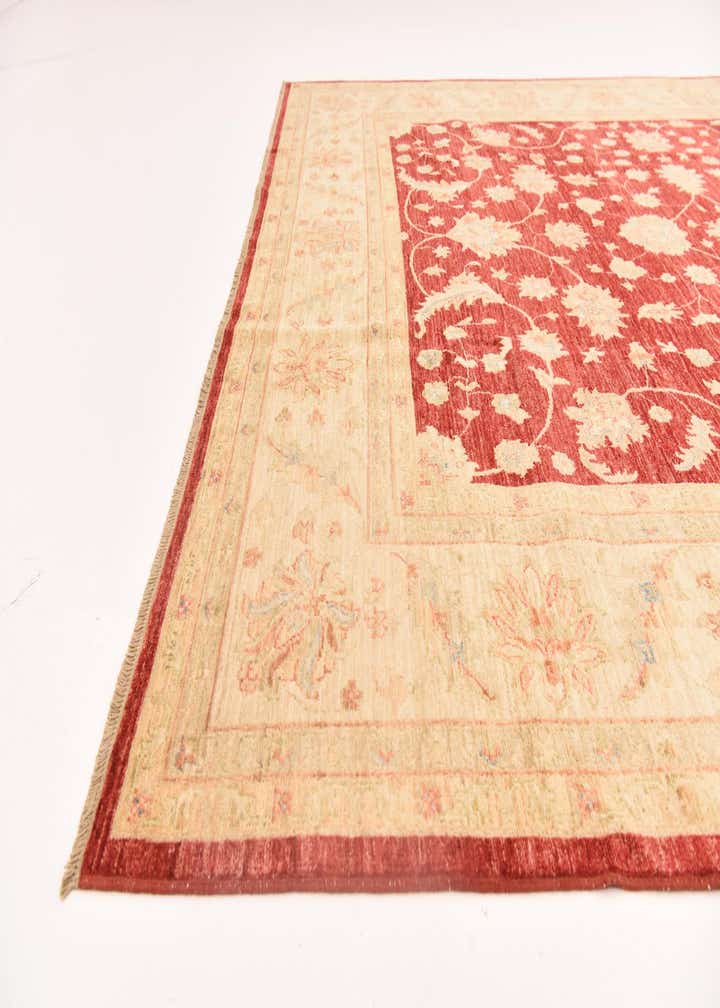 8' 3 x 9' 9 Hand Knotted Peshawar Ziegler Rug