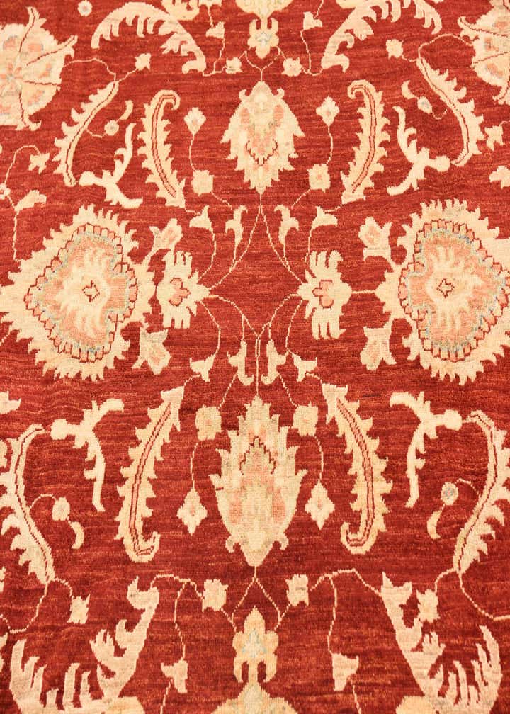 8' 3 x 9' 3 Hand Knotted Peshawar Ziegler Rug