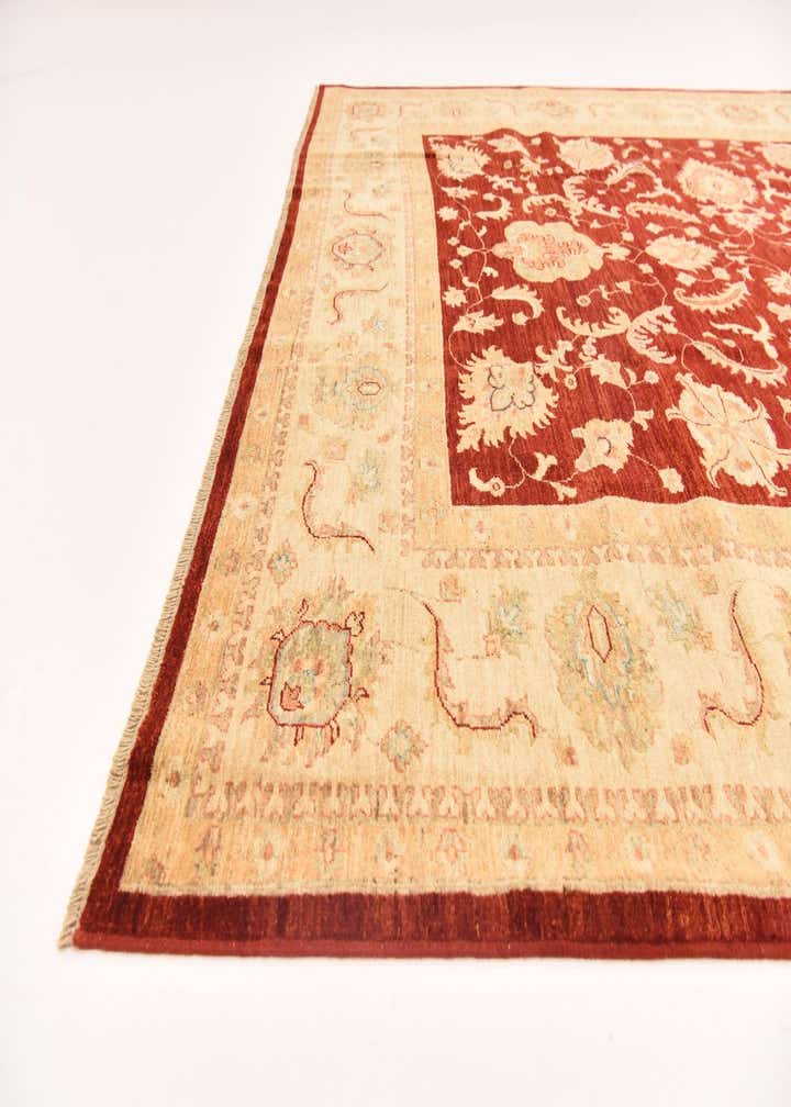 8' 3 x 9' 3 Hand Knotted Peshawar Ziegler Rug