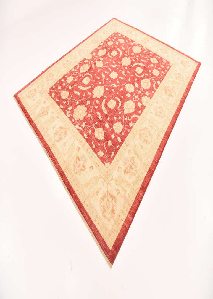 8' 3 x 9' 10 Hand Knotted Peshawar Ziegler Rug