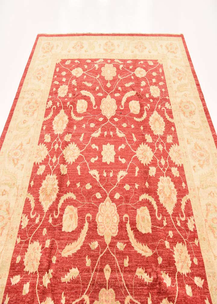 8' 3 x 9' 10 Hand Knotted Peshawar Ziegler Rug