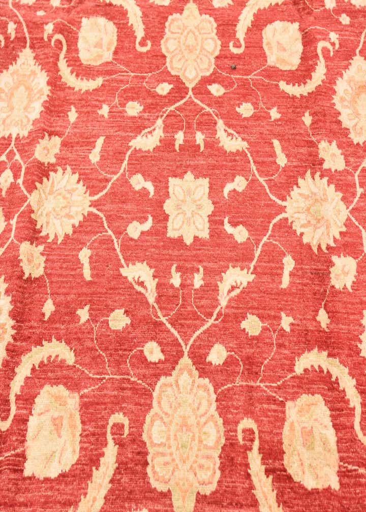 8' 3 x 9' 10 Hand Knotted Peshawar Ziegler Rug