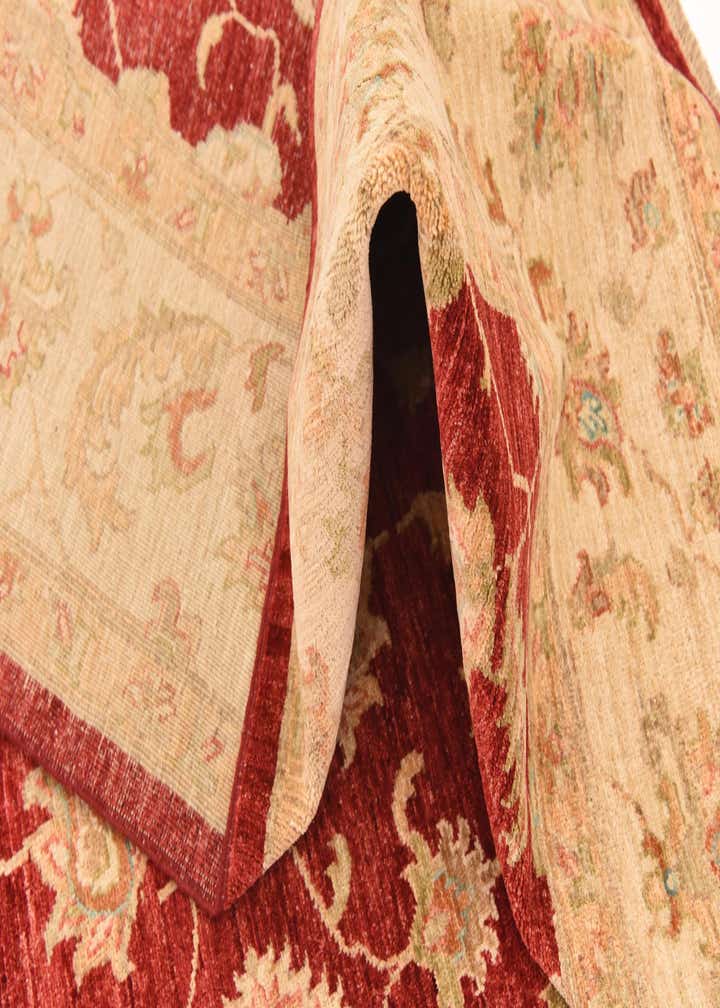 8' 1 x 9' 7 Hand Knotted Peshawar Ziegler Rug