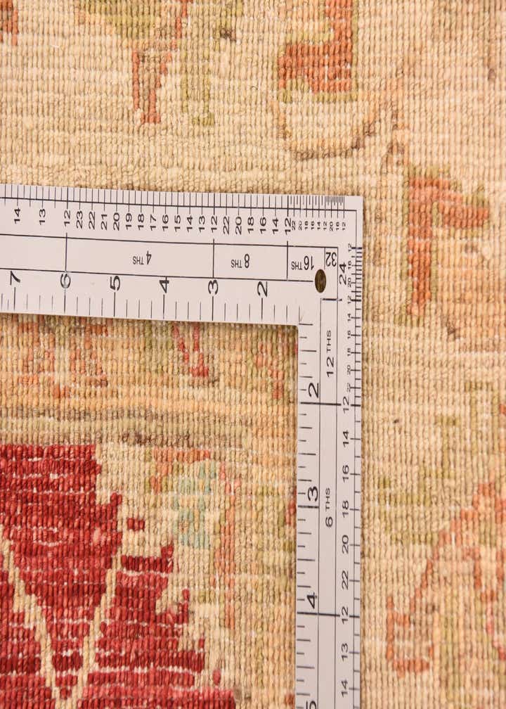 8' 1 x 9' 7 Hand Knotted Peshawar Ziegler Rug