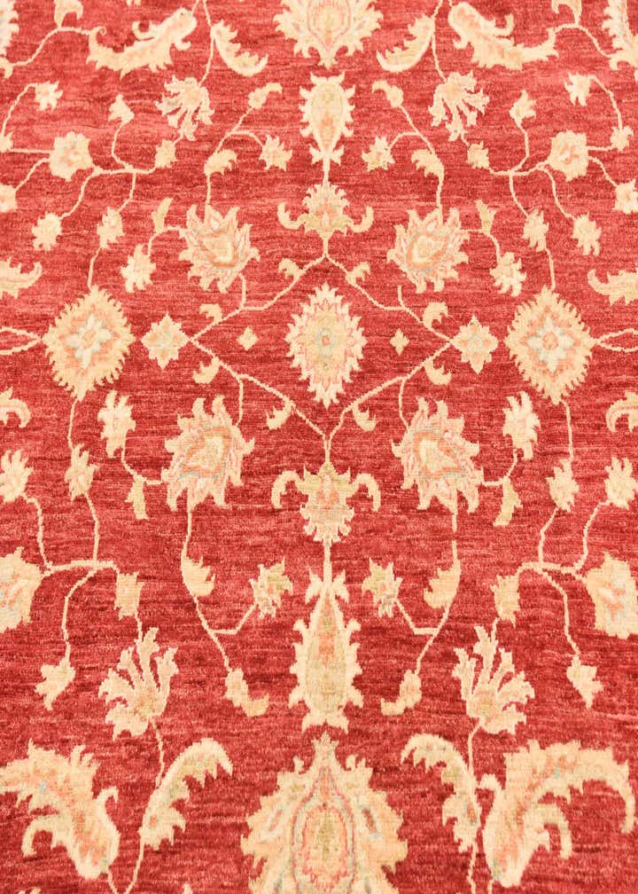 8' 1 x 9' 7 Hand Knotted Peshawar Ziegler Rug