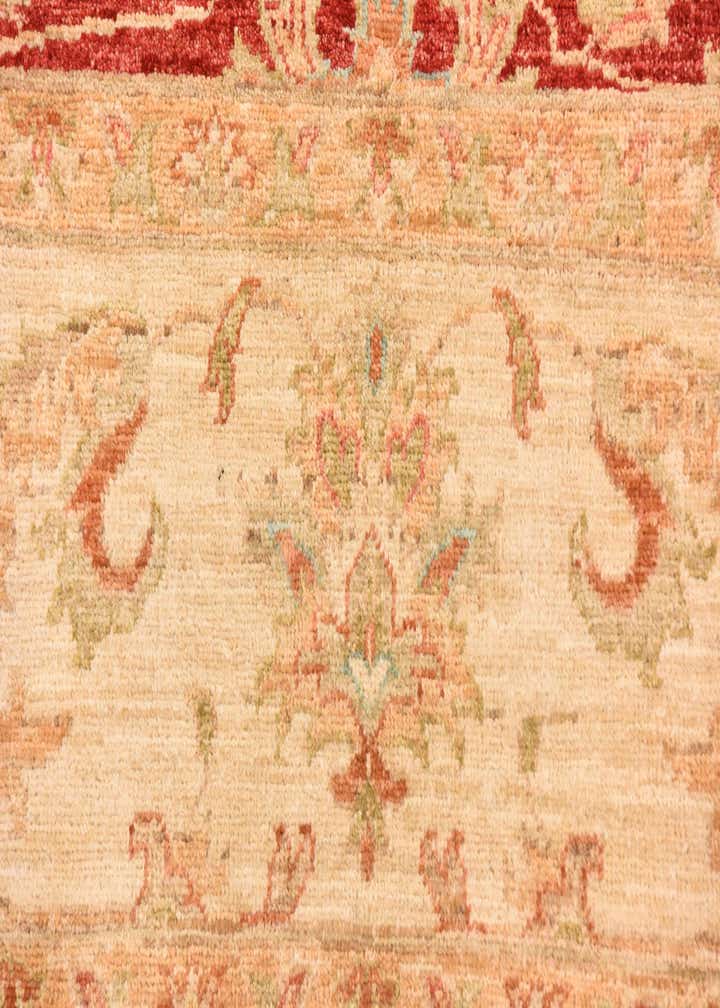 8' 1 x 9' 7 Hand Knotted Peshawar Ziegler Rug