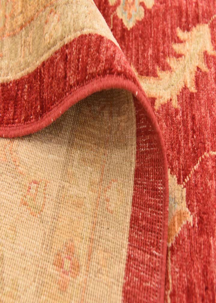 8' 3 x 9' 10 Hand Knotted Peshawar Ziegler Rug