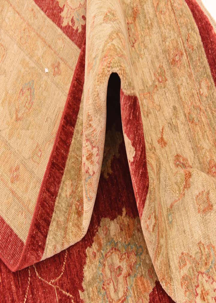 8' 3 x 9' 10 Hand Knotted Peshawar Ziegler Rug