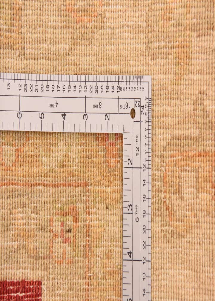 8' 3 x 9' 10 Hand Knotted Peshawar Ziegler Rug