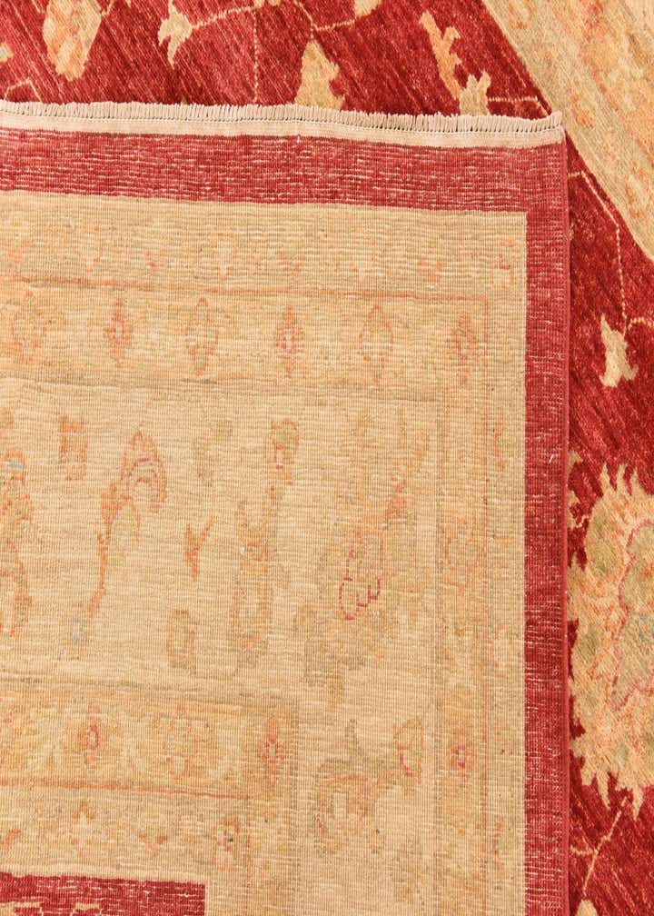 8' 3 x 9' 10 Hand Knotted Peshawar Ziegler Rug
