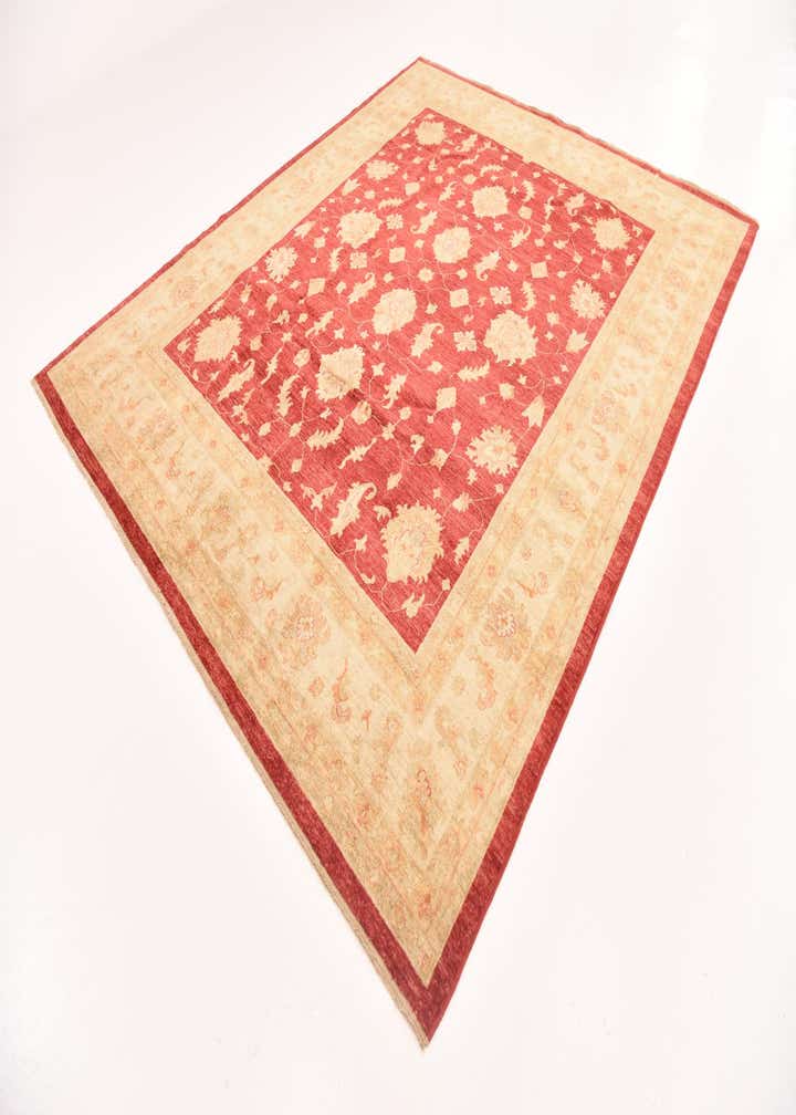 8' 3 x 9' 10 Hand Knotted Peshawar Ziegler Rug