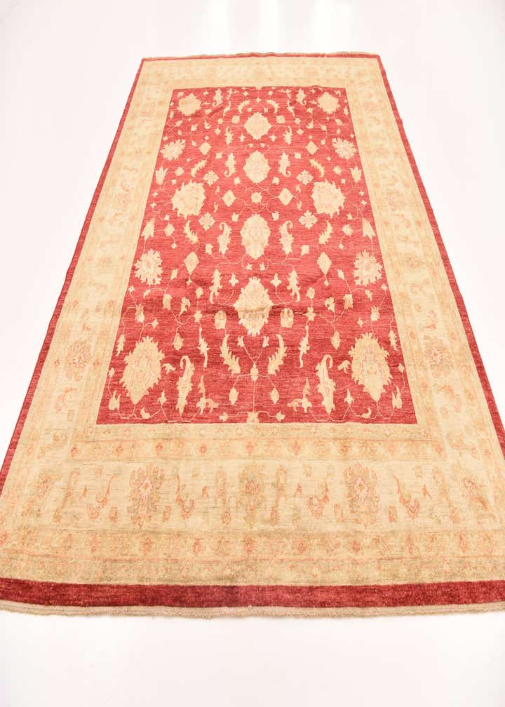 8' 3 x 9' 10 Hand Knotted Peshawar Ziegler Rug