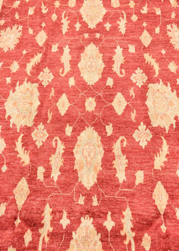 8' 3 x 9' 10 Hand Knotted Peshawar Ziegler Rug