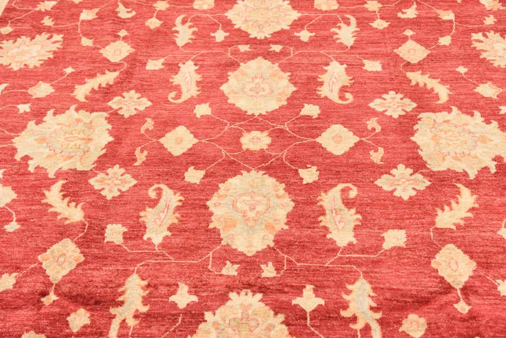Detail image of 8' 3 x 9' 10 Hand Knotted Peshawar Ziegler Rug