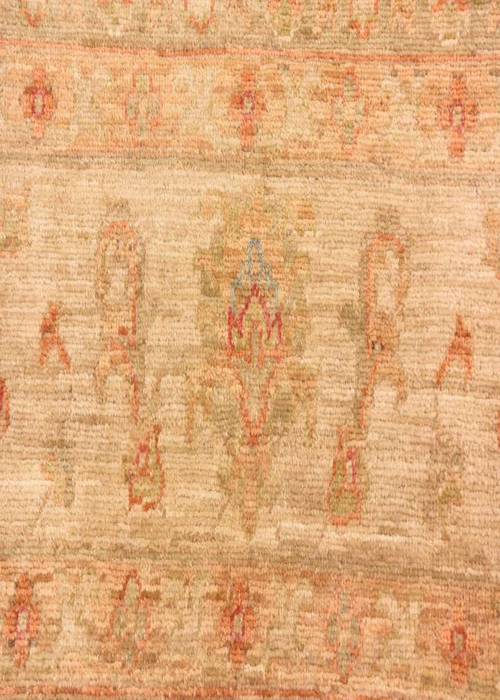 8' 3 x 9' 10 Hand Knotted Peshawar Ziegler Rug