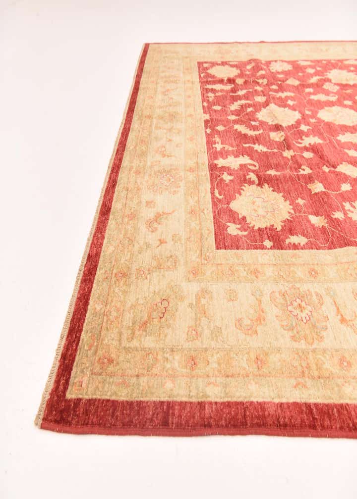 8' 3 x 9' 10 Hand Knotted Peshawar Ziegler Rug