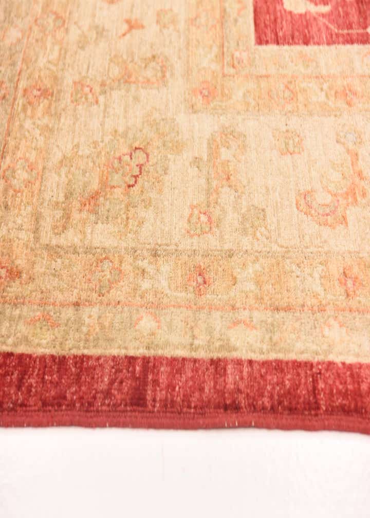 8' 3 x 9' 10 Hand Knotted Peshawar Ziegler Rug