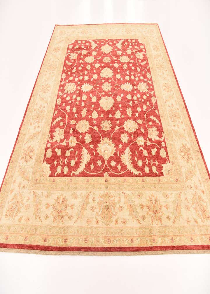 8' 3 x 9' 8 Hand Knotted Peshawar Ziegler Rug