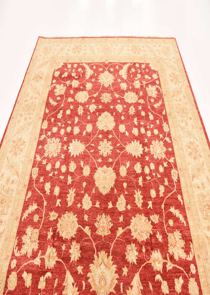8' 3 x 9' 8 Hand Knotted Peshawar Ziegler Rug