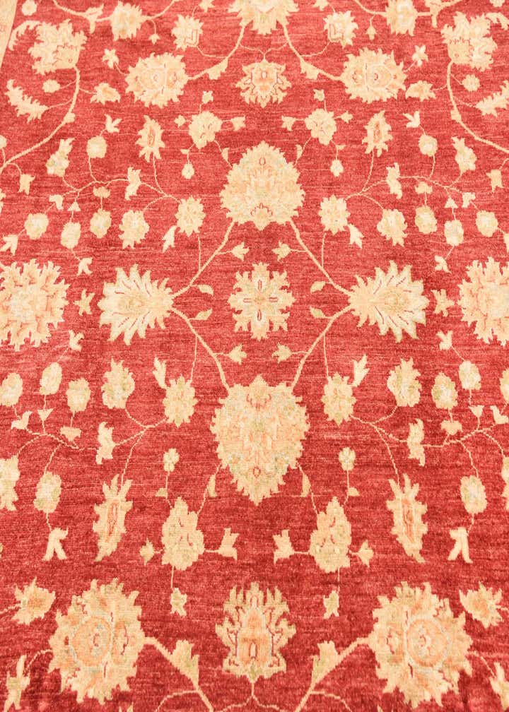 8' 3 x 9' 8 Hand Knotted Peshawar Ziegler Rug
