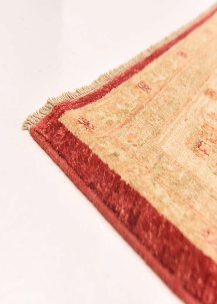 8' 3 x 9' 8 Hand Knotted Peshawar Ziegler Rug
