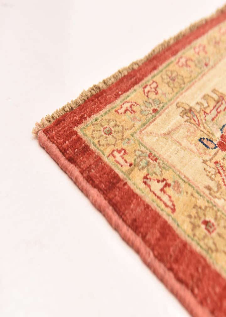 8' x 9' 6 Hand Knotted Peshawar Ziegler Rug