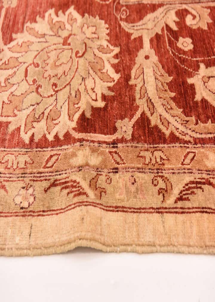 10' 11 x 14' 9 Hand Knotted Peshawar Ziegler Rug