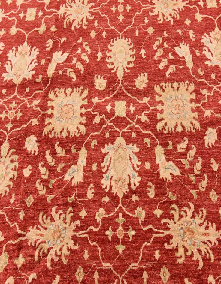 Detail image of 10' 2 x 16' 1 Hand Knotted Peshawar Ziegler Rug
