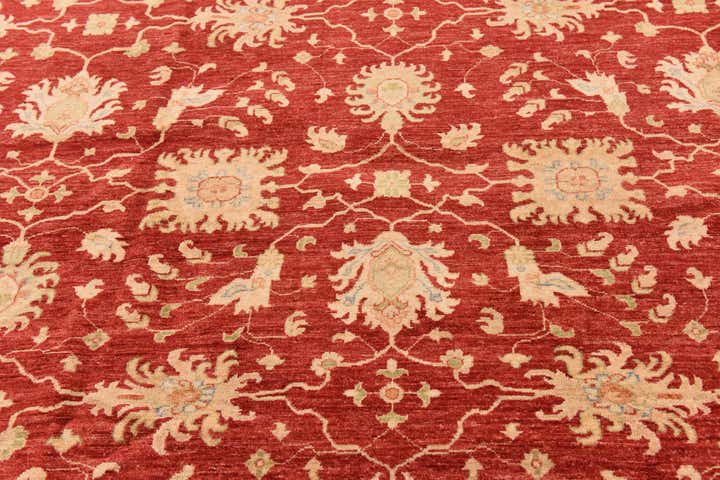 10' 2 x 16' 1 Hand Knotted Peshawar Ziegler Rug