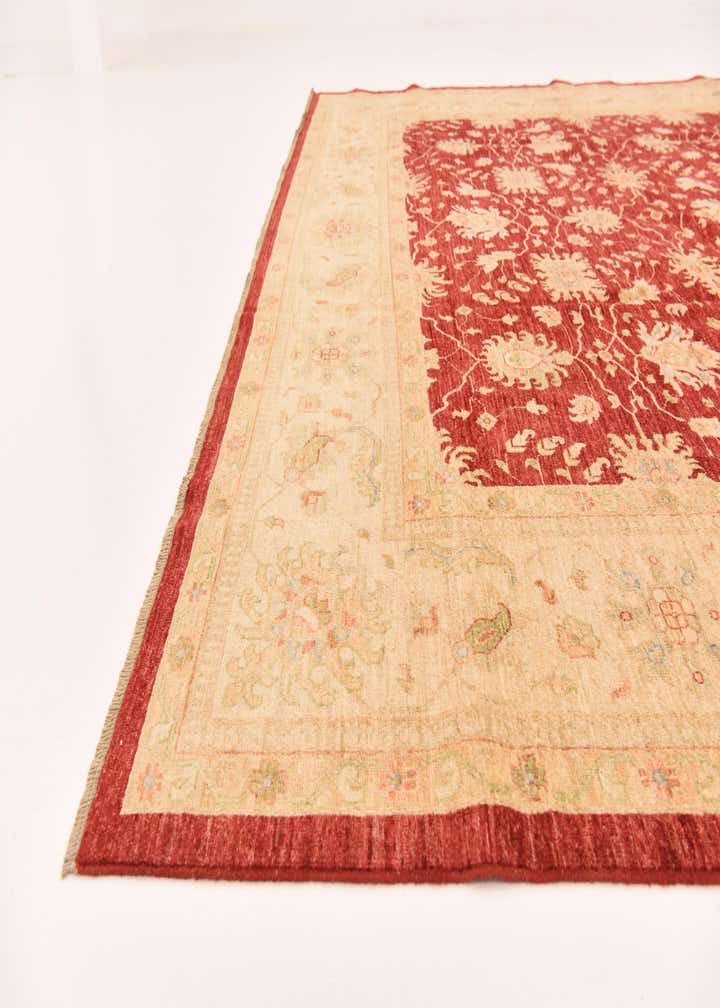 10' 2 x 16' 1 Hand Knotted Peshawar Ziegler Rug