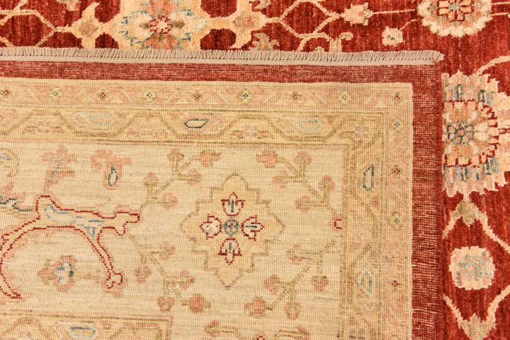 9' 10 x 12' 10 Hand Knotted Peshawar Ziegler Rug