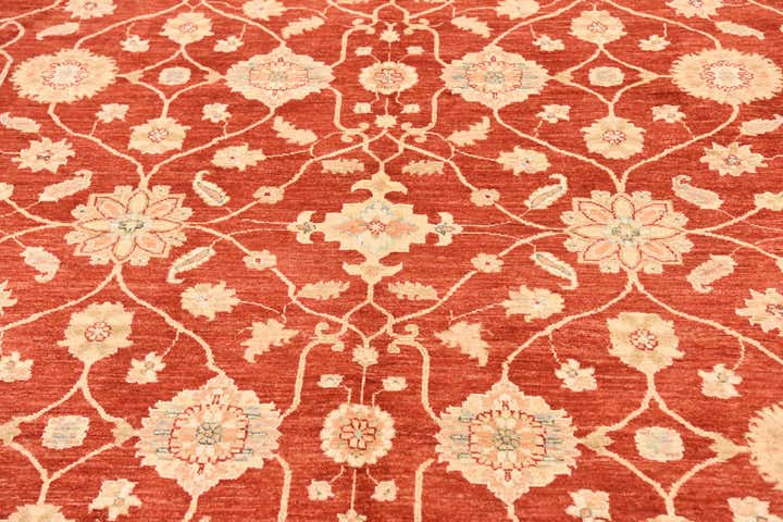 9' 10 x 12' 10 Hand Knotted Peshawar Ziegler Rug
