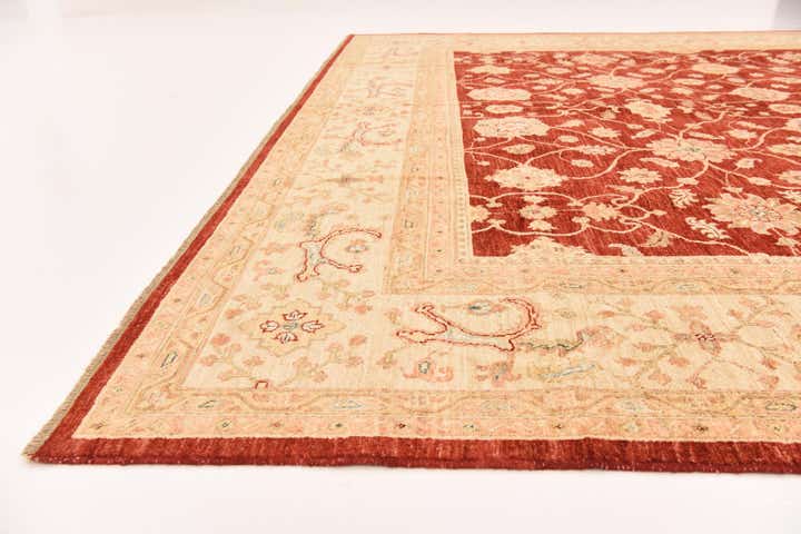 9' 10 x 12' 10 Hand Knotted Peshawar Ziegler Rug