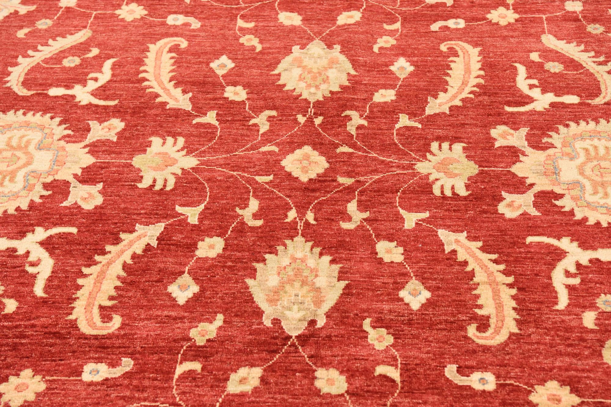 10' x 12' 11 Hand Knotted Peshawar Ziegler Rug
