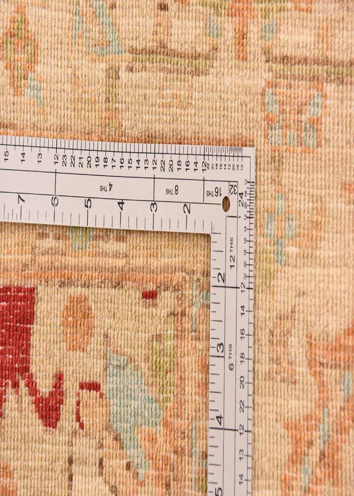 8' 4 x 11' 7 Hand Knotted Peshawar Ziegler Rug