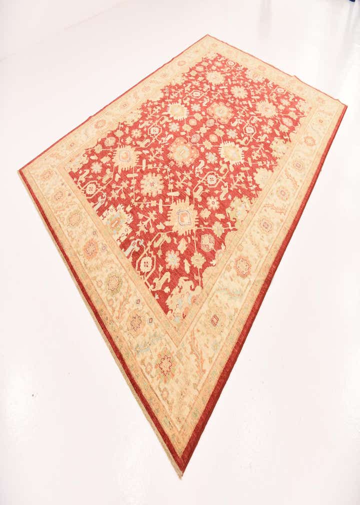 8' 4 x 11' 7 Hand Knotted Peshawar Ziegler Rug
