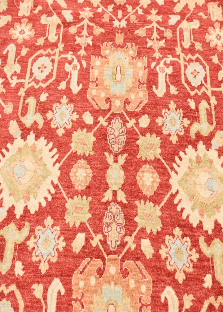 8' 4 x 11' 7 Hand Knotted Peshawar Ziegler Rug